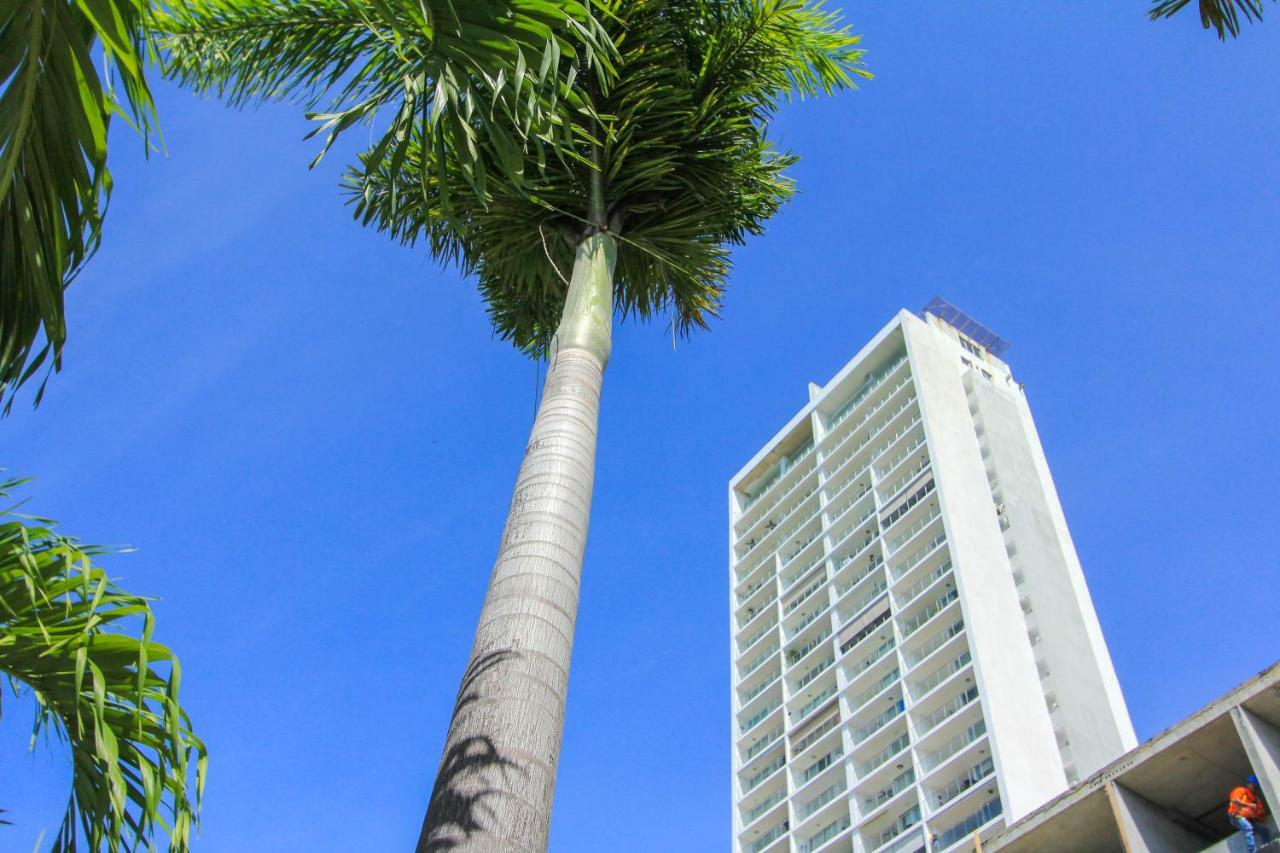 Las Palmeras 2201 Playa El Palmar 아파트 외부 사진